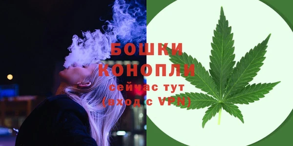 прущие грибы Киреевск