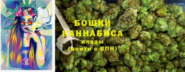 гашик Козловка