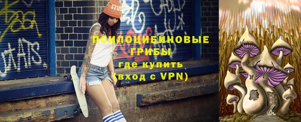 гашик Козловка