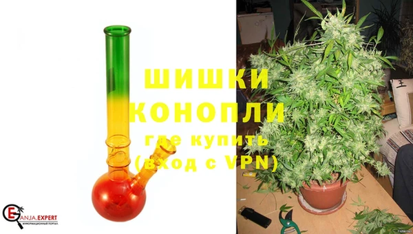 гашик Козловка