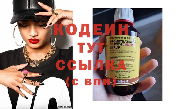 хмурый Кодинск