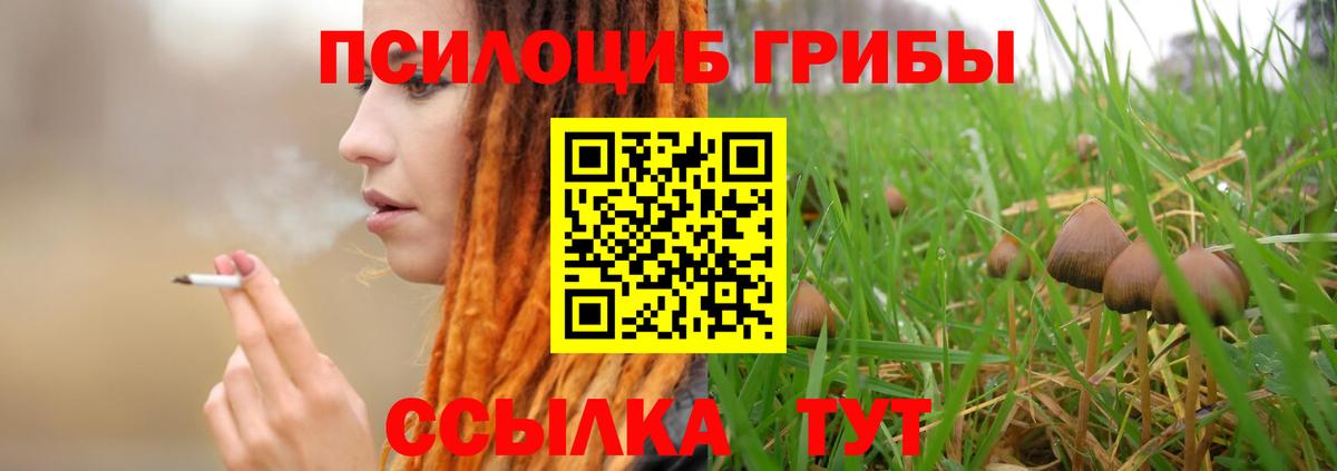 Псилоцибиновые грибы прущие грибы Лобня